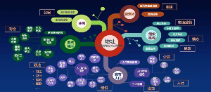 XX區社會綜合治理創新中心智能化工程